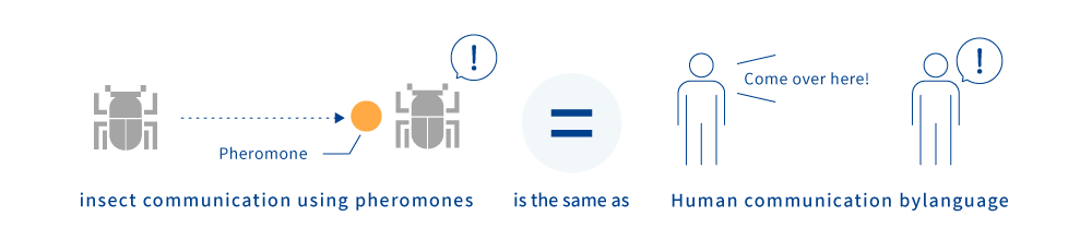 Insects communication using pheromons is the same as Human communication by language