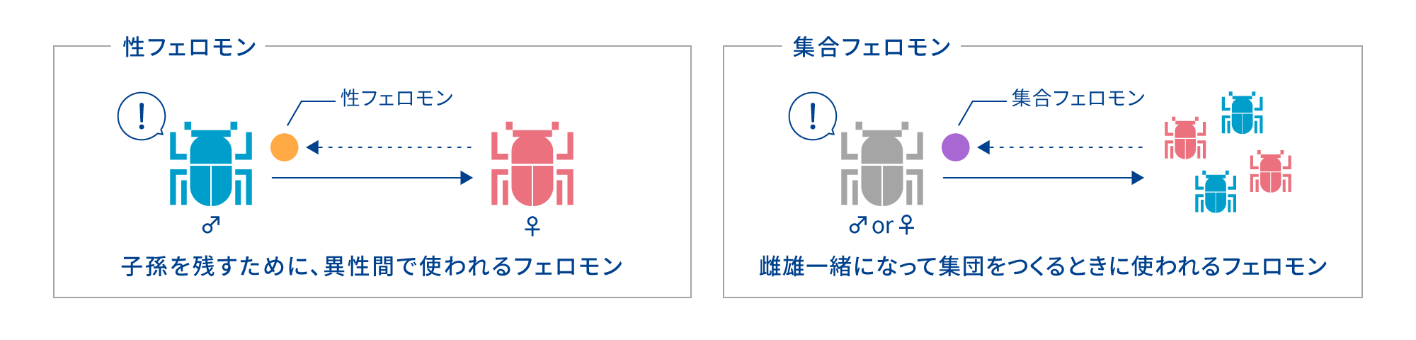 性フェロモン：子孫を残すために、異性間で使われるフェロモン 集合フェロモン：雌雄一緒になって集団をつくるときに使われるフェロモン